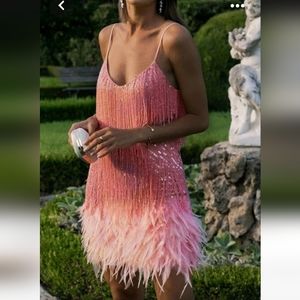Feathers pink dress